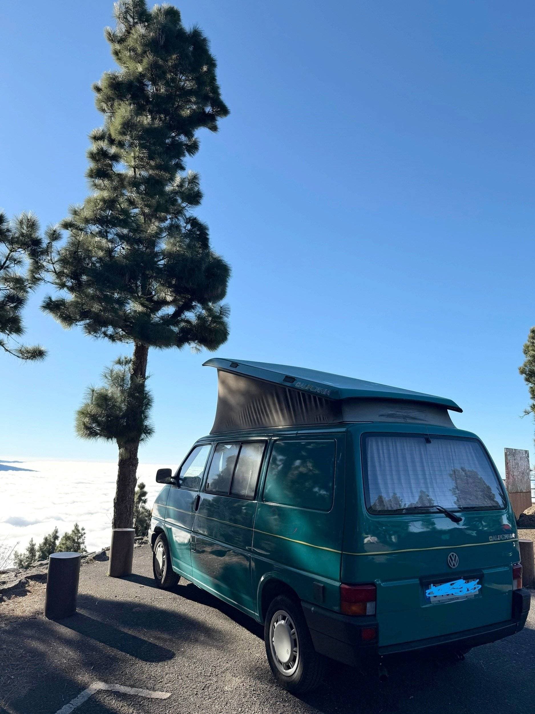 Volkswagen California (92)
