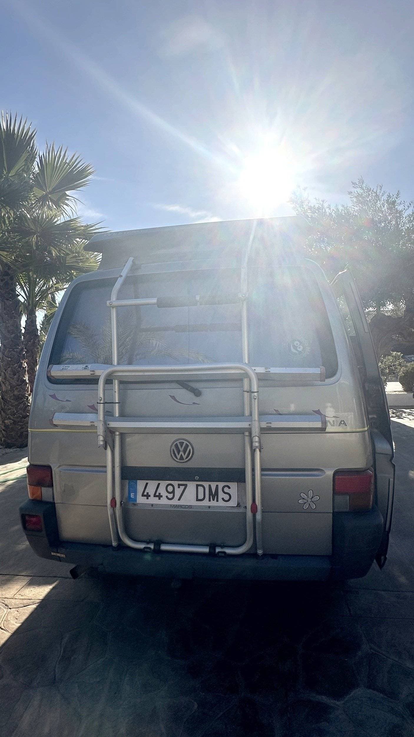 Volkswagen California de Slow Campers entre palmeras, luz de tarde